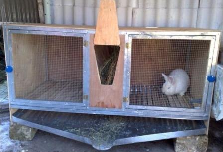 клетки для кроликов в домашних условиях