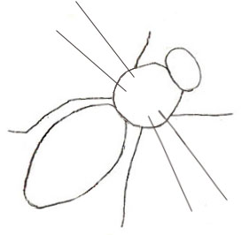 пчела картинки для детей нарисованные