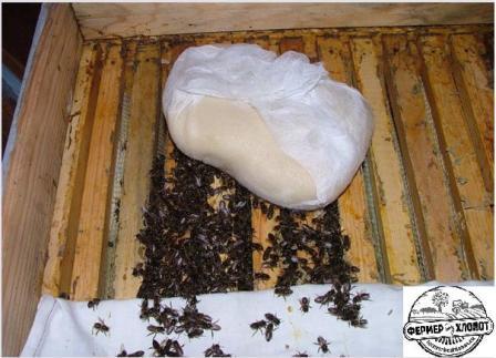 Подкормка для пчел канди