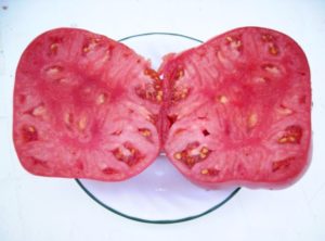 помидор розовый мед в разрезе