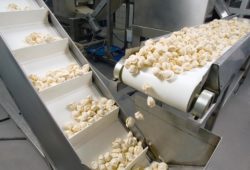 конвейеры для промышленности